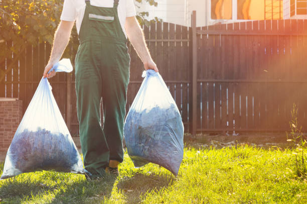 Best Household Junk Removal  in Wheaton, IL